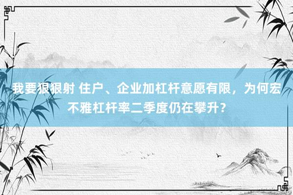 我要狠狠射 住户、企业加杠杆意愿有限，为何宏不雅杠杆率二季度仍在攀升？
