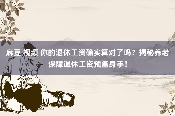 麻豆 视频 你的退休工资确实算对了吗？揭秘养老保障退休工资预备身手！