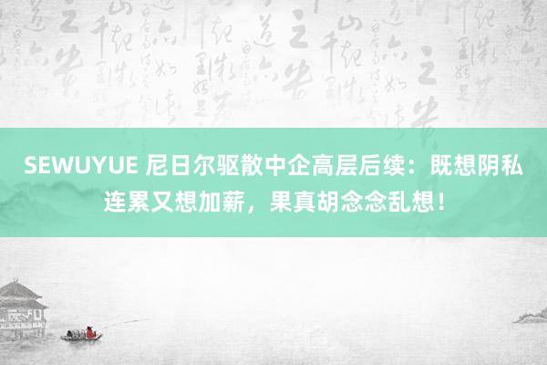 SEWUYUE 尼日尔驱散中企高层后续：既想阴私连累又想加薪，果真胡念念乱想！