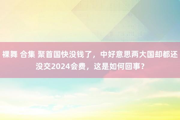 裸舞 合集 聚首国快没钱了，中好意思两大国却都还没交2024会费，这是如何回事？