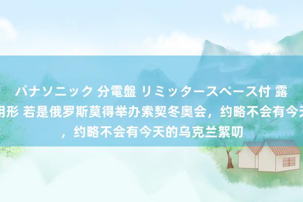 パナソニック 分電盤 リミッタースペース付 露出・半埋込両用形 若是俄罗斯莫得举办索契冬奥会，约略不会有今天的乌克兰絮叨