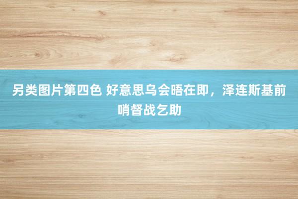 另类图片第四色 好意思乌会晤在即，泽连斯基前哨督战乞助