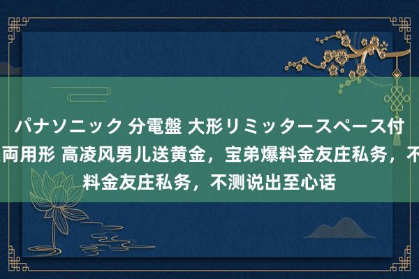 パナソニック 分電盤 大形リミッタースペース付 露出・半埋込両用形 高凌风男儿送黄金，宝弟爆料金友庄私务，不测说出至心话