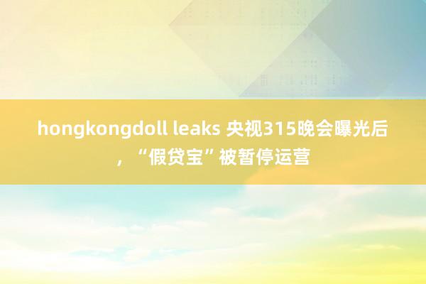 hongkongdoll leaks 央视315晚会曝光后，“假贷宝”被暂停运营
