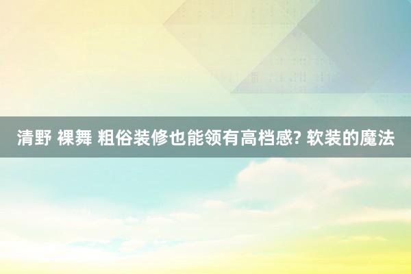 清野 裸舞 粗俗装修也能领有高档感? 软装的魔法