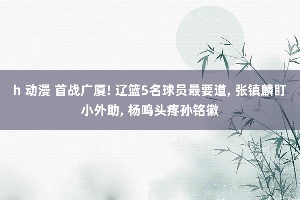 h 动漫 首战广厦! 辽篮5名球员最要道, 张镇麟盯小外助, 杨鸣头疼孙铭徽