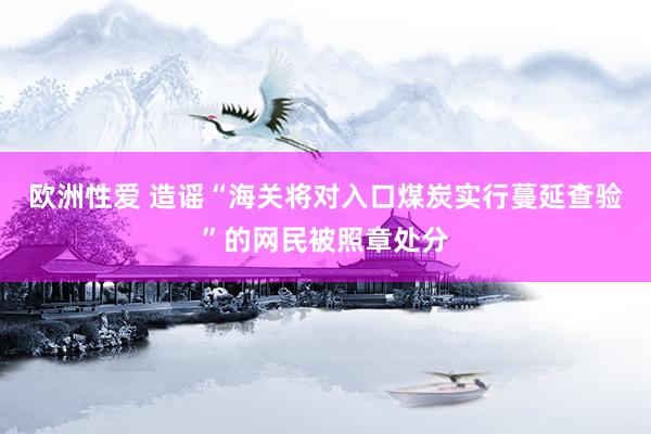 欧洲性爱 造谣“海关将对入口煤炭实行蔓延查验”的网民被照章处分