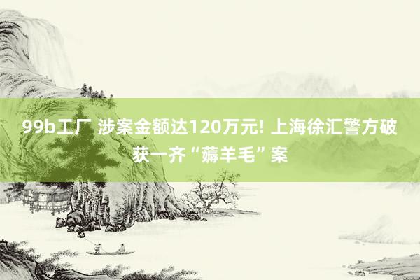 99b工厂 涉案金额达120万元! 上海徐汇警方破获一齐“薅羊毛”案