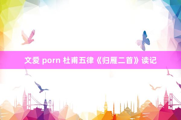 文爱 porn 杜甫五律《归雁二首》读记