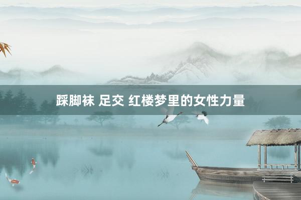 踩脚袜 足交 红楼梦里的女性力量