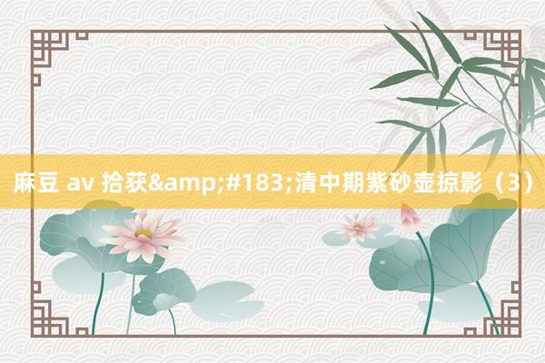 麻豆 av 拾获&#183;清中期紫砂壶掠影（3）