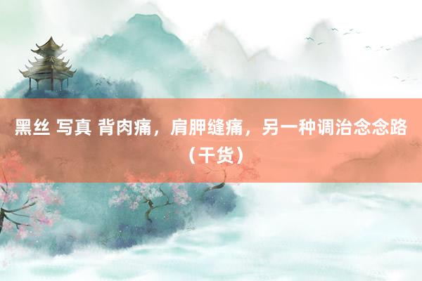 黑丝 写真 背肉痛，肩胛缝痛，另一种调治念念路（干货）